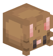k_mice