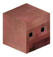 xene_nz
