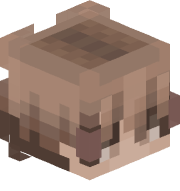 minexplane