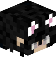 Hoxan323pro