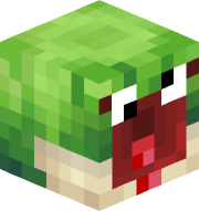 Noamlizard019