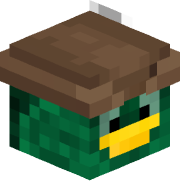 Wigeon29455