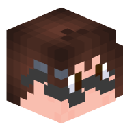 TechnicalNitwit's head