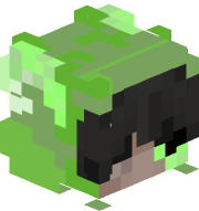 MrPolishSandis