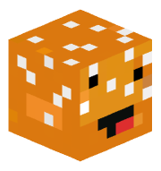 SamTurtleKing