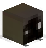 jasonczyt1