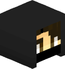 Illumina 3D head