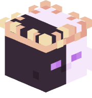 Dani100Gamer