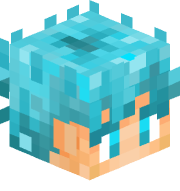 liorplay11