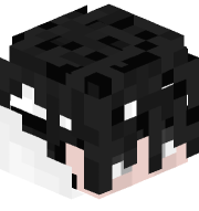 MetaIX