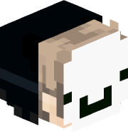 StarAyden100