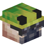 pipizz