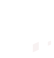 Vfvt