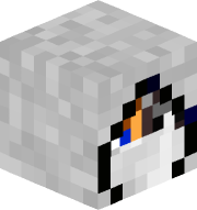 Kaushaldraco