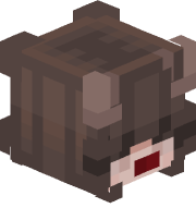 Zanwichito
