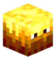 PolVa_1