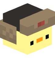 Duck_84