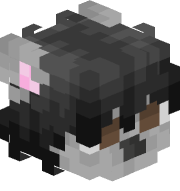 zvbdc