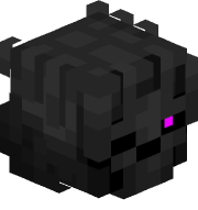 NetPoIice