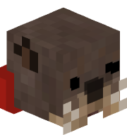 SimplexTheOtter