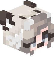 An image of the person's Minecraft head provided by mc-heads.net