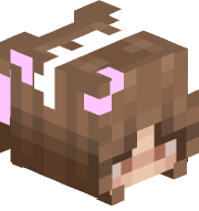 LexaComputer