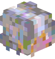 kiko1001