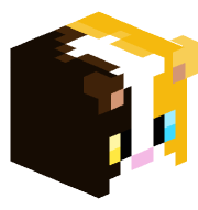 PovertyCat