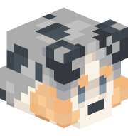 KairuDaDawg