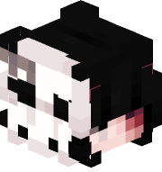 Auorara_