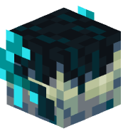 sculksight