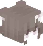 Catz1382