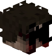 pluszfn