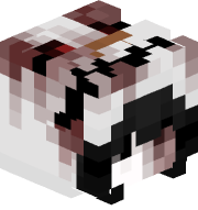 HXSS46N