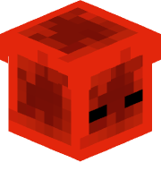 Redstoner6b6t