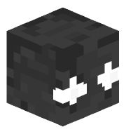 DSPAIRmc