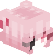 raspberrypiies