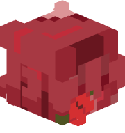 Radianntt
