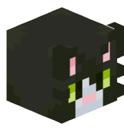 Rook000