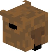 Zepvlo