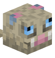 Braisote23