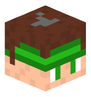 Fanste11