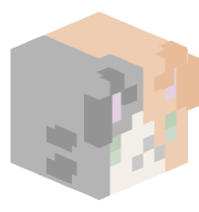 CxrsedCat