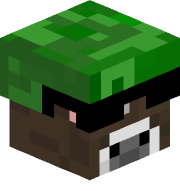 henrique20888