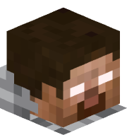 Minitortue38