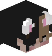 Dwarfkid