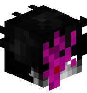 NeverEndingCase