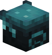 v8c6