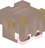 cavv_y