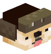 SargeDOGE